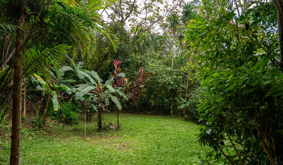Sunny Garden Villa